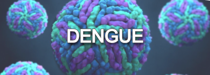 DENGUE